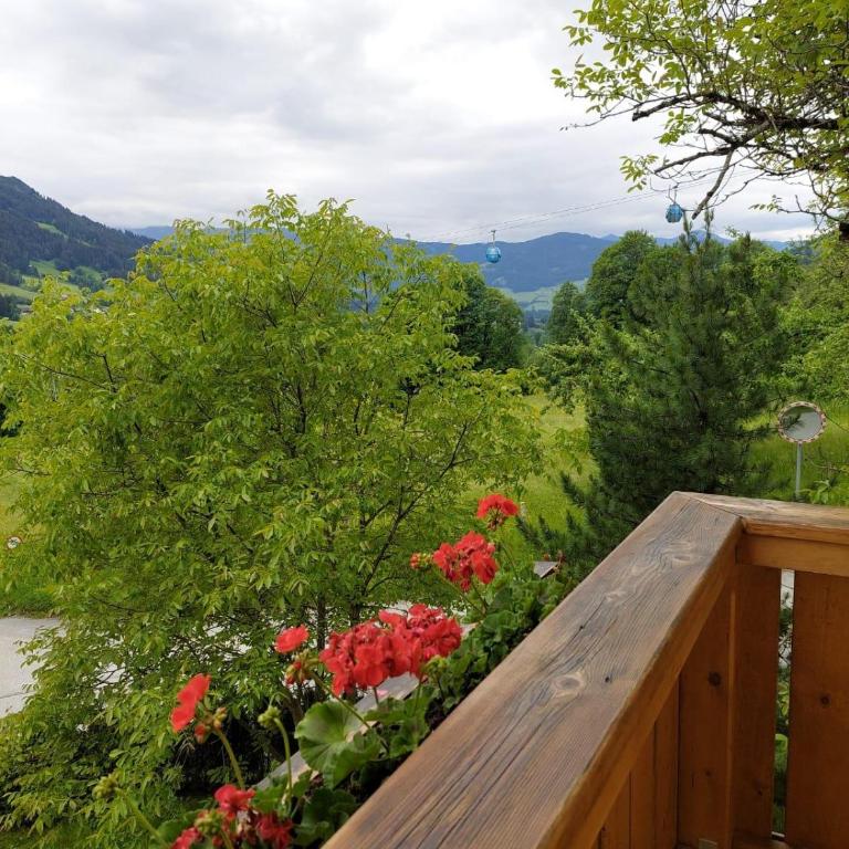 Appartements - Haus Sieberer - Apartment mit 1 Schlafzimmer und Dusche - 45