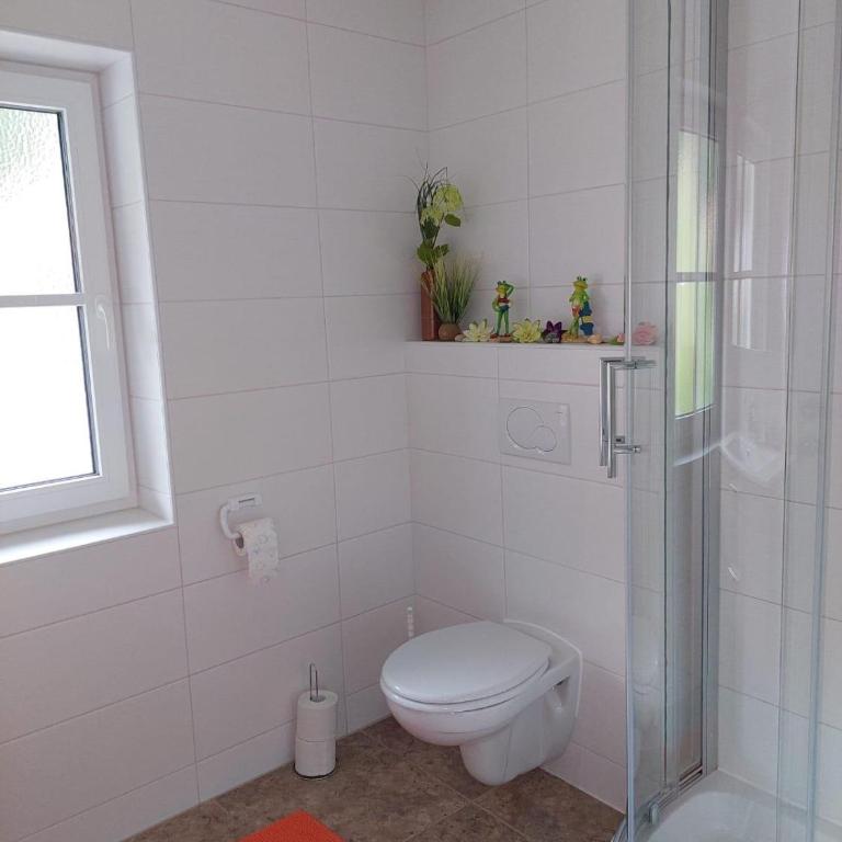 Appartements - Haus Sieberer - Apartment mit 1 Schlafzimmer und Dusche - 53