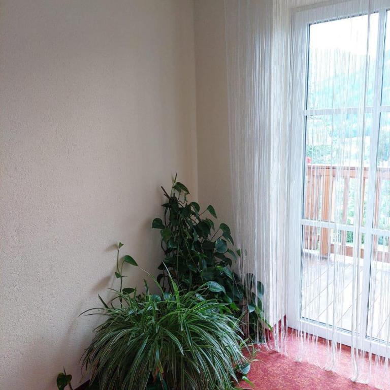 Appartements - Haus Sieberer - Apartment mit 1 Schlafzimmer und Dusche - 55