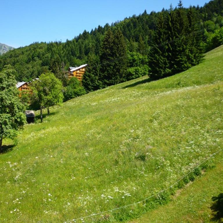 2 pièces à louer à St Jean d'Aulps, 100m des pistes - Appartement 1 Chambre - 2