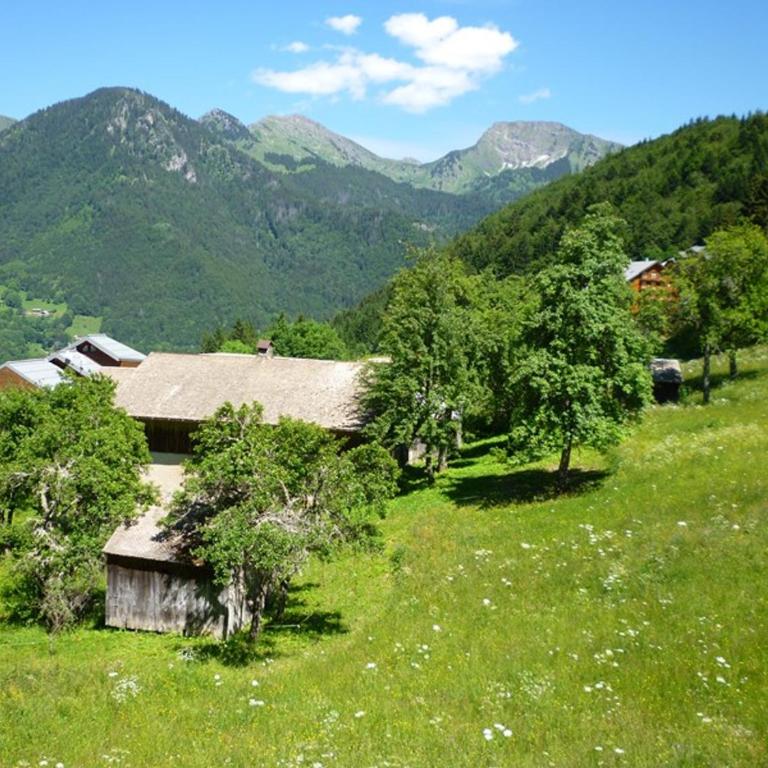 2 pièces à louer à St Jean d'Aulps, 100m des pistes - Appartement 1 Chambre - 3