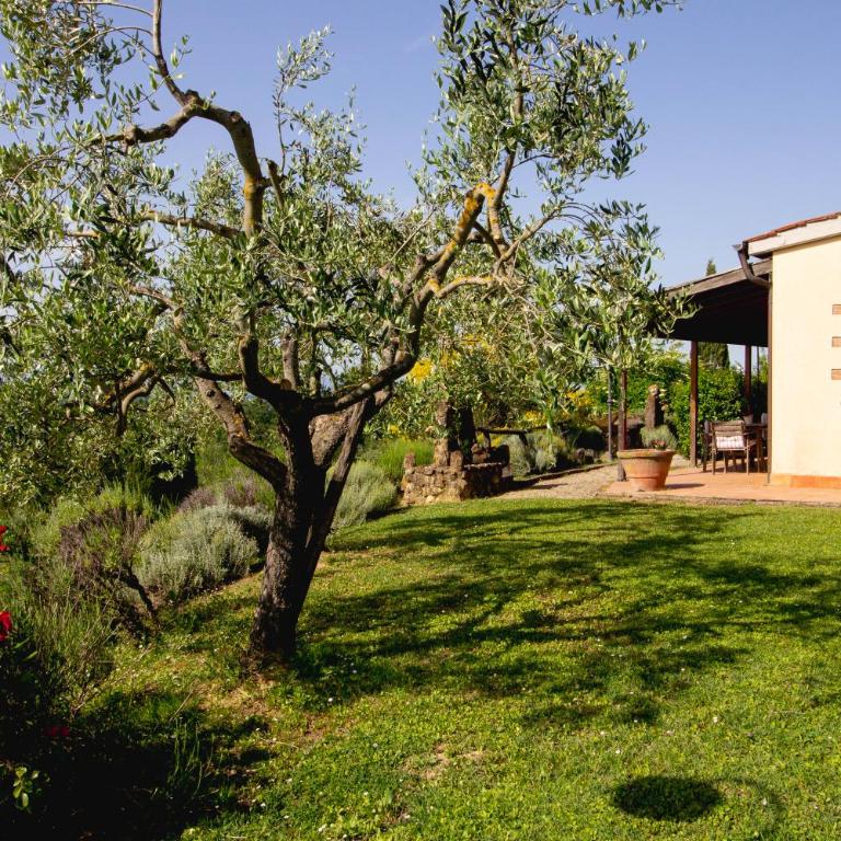 Agriturismo Poggio Pistolese - Camera Matrimoniale con Patio - 3