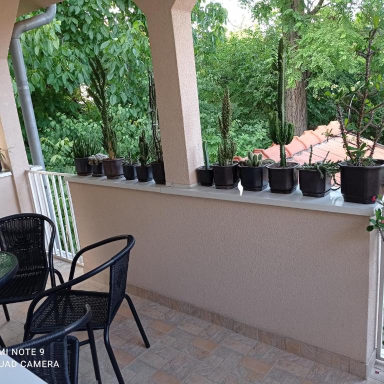 Apartman Aleks - Apartman sa 1 Spavaćom Sobom - 1