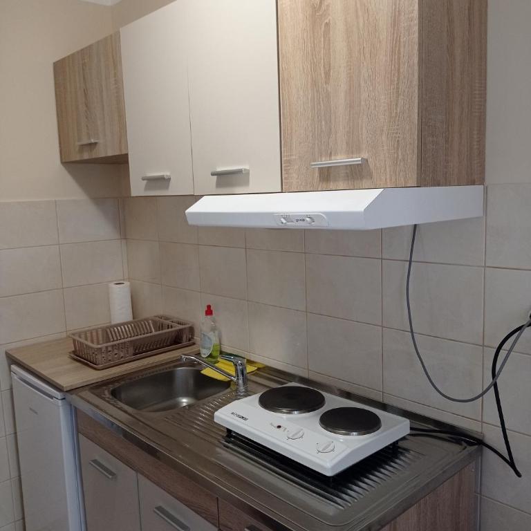 Apartman Aleks - Apartman sa 1 Spavaćom Sobom - 5