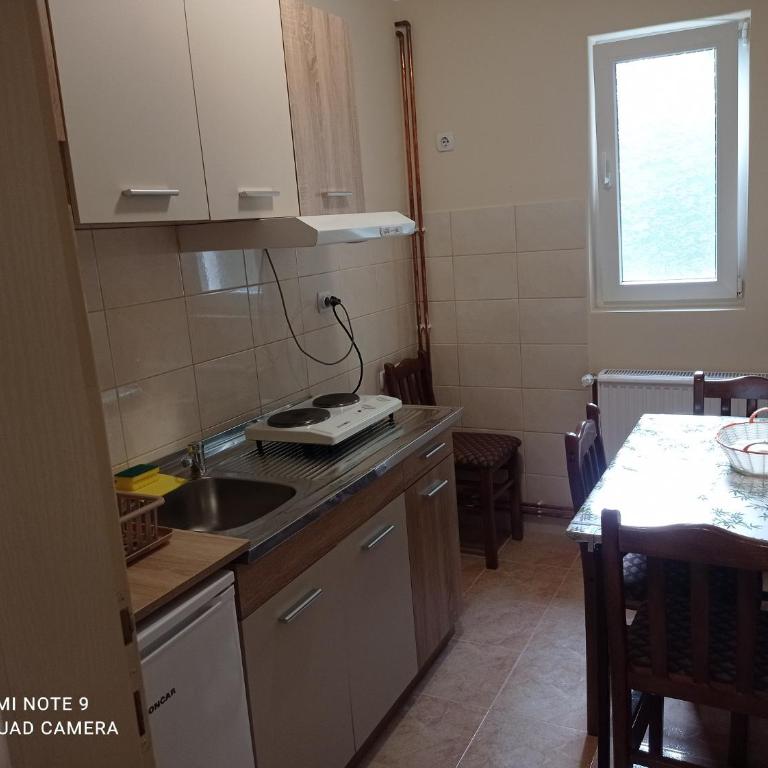 Apartman Aleks - Apartman sa 1 Spavaćom Sobom - 11
