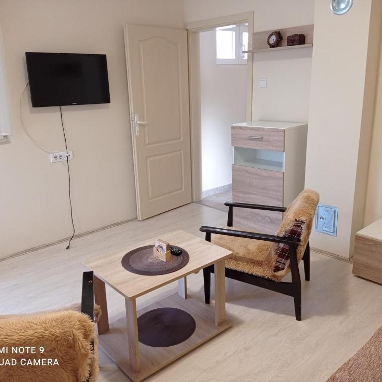Apartman Aleks - Apartman sa 1 Spavaćom Sobom - 12