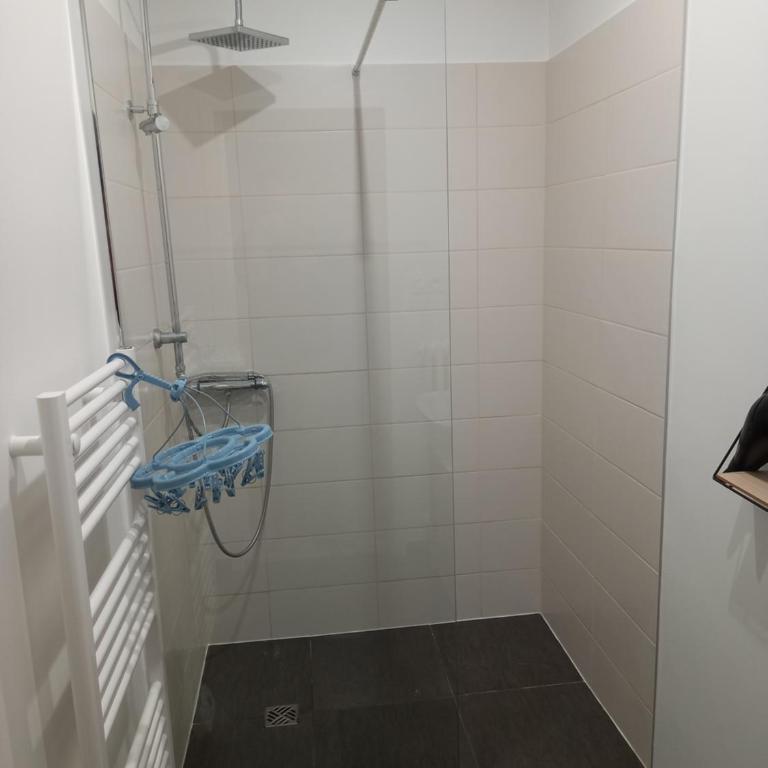 Appartement Standing Cœur d'Annecy - Appartamento Superior - 8