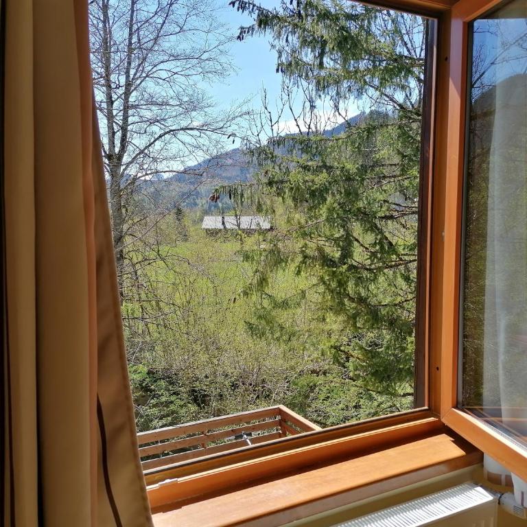 Adventure House - Camera Matrimoniale con Vista Giardino - 6