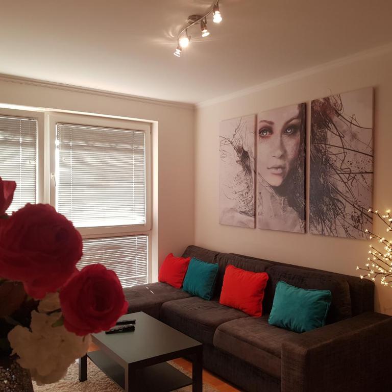 Rajiceva 5- apartman sa prostranom terasom i garaznim mestom - One-Bedroom Apartment - 9