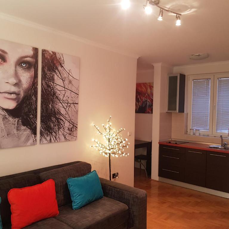 Rajiceva 5- apartman sa prostranom terasom i garaznim mestom - One-Bedroom Apartment - 4