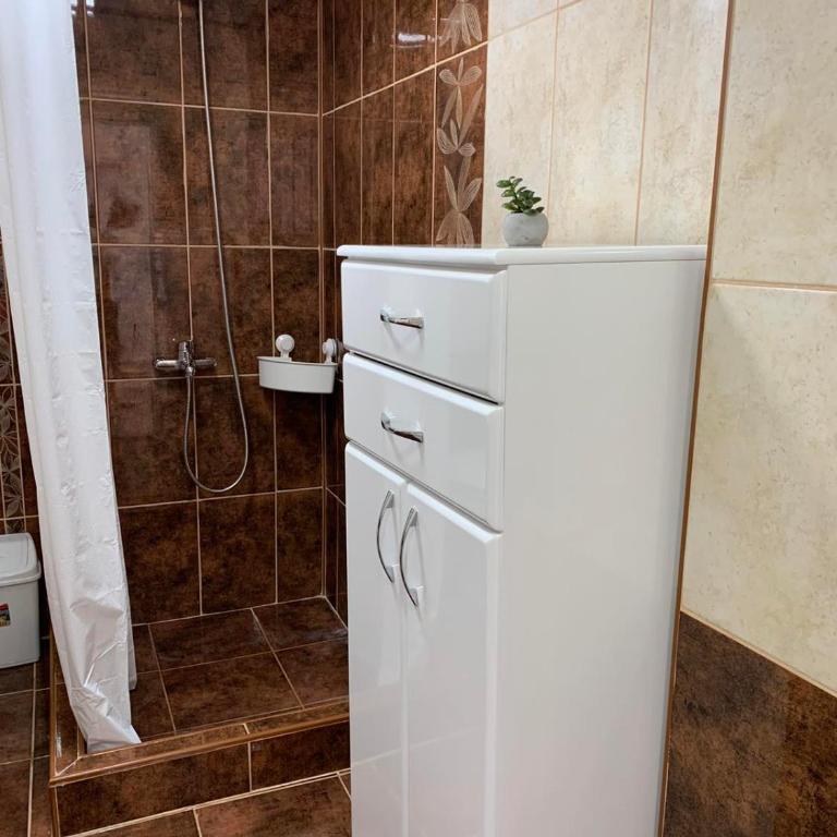 Apartmani Bambi Sokobanja - Apartman sa 1 Spavaćom Sobom - 6