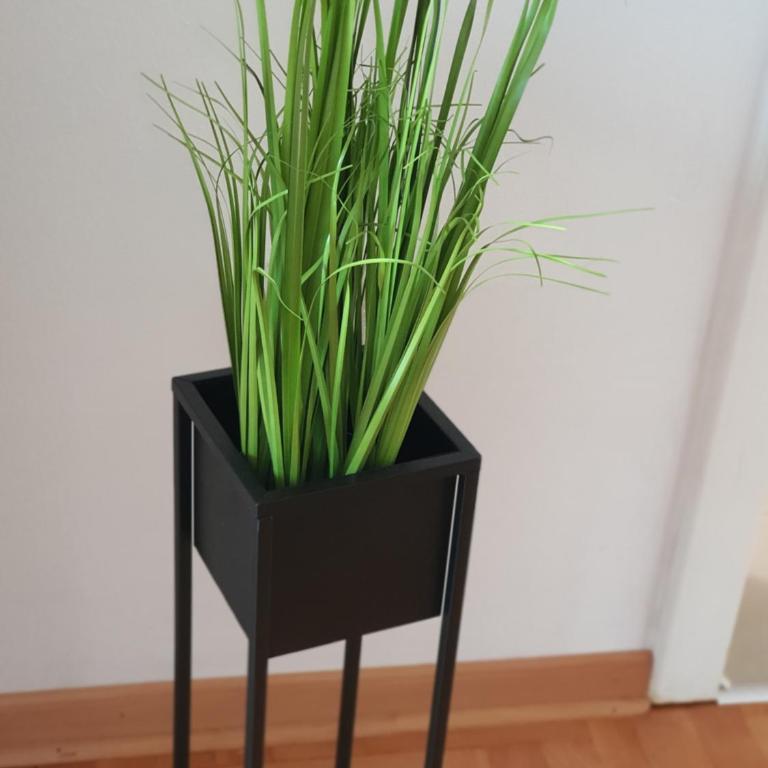 Le Soleil Apartman Vrnjačka Banja - Apartman sa 1 Spavaćom Sobom - 3