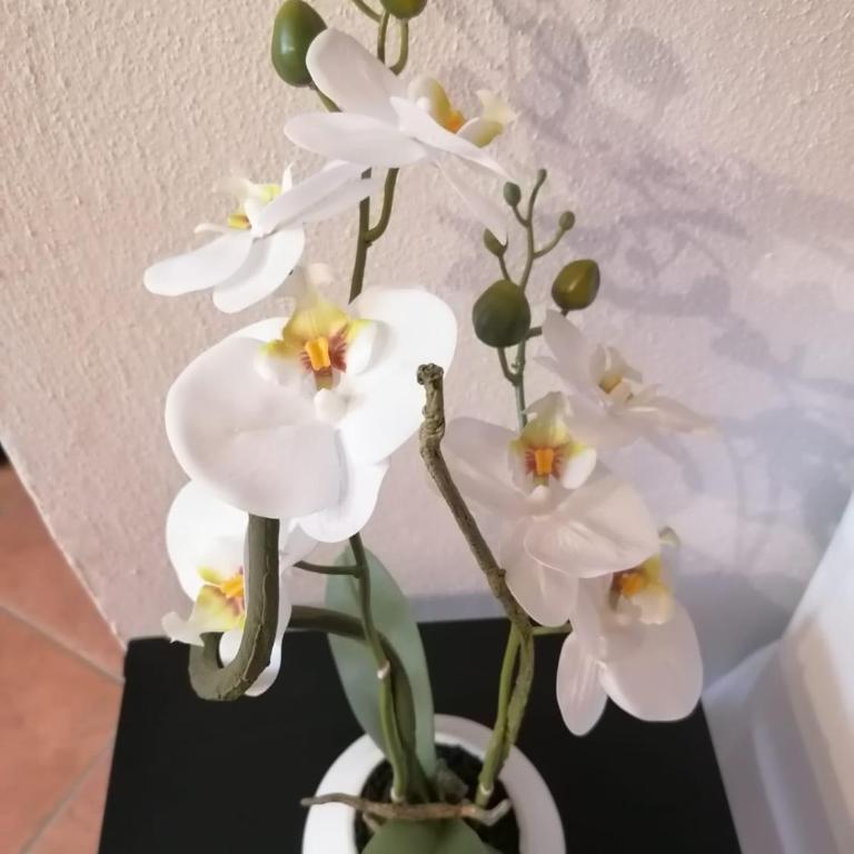 PERLA DEL GOLFO (con Box Auto) - Appartamento con 1 Camera da Letto - 33