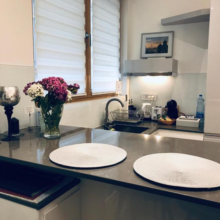 INNA Luxe&Wine- Central Belgrade Apartments - Deluks Apartman - 8