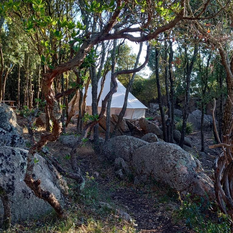 La Cera Farm Camping B&B - Double Room with Private External Bathroom - 14