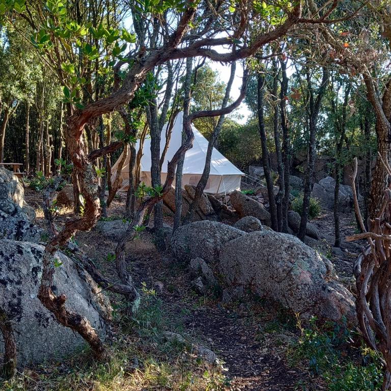 La Cera Farm Camping B&B - Double Room with Private External Bathroom - 18