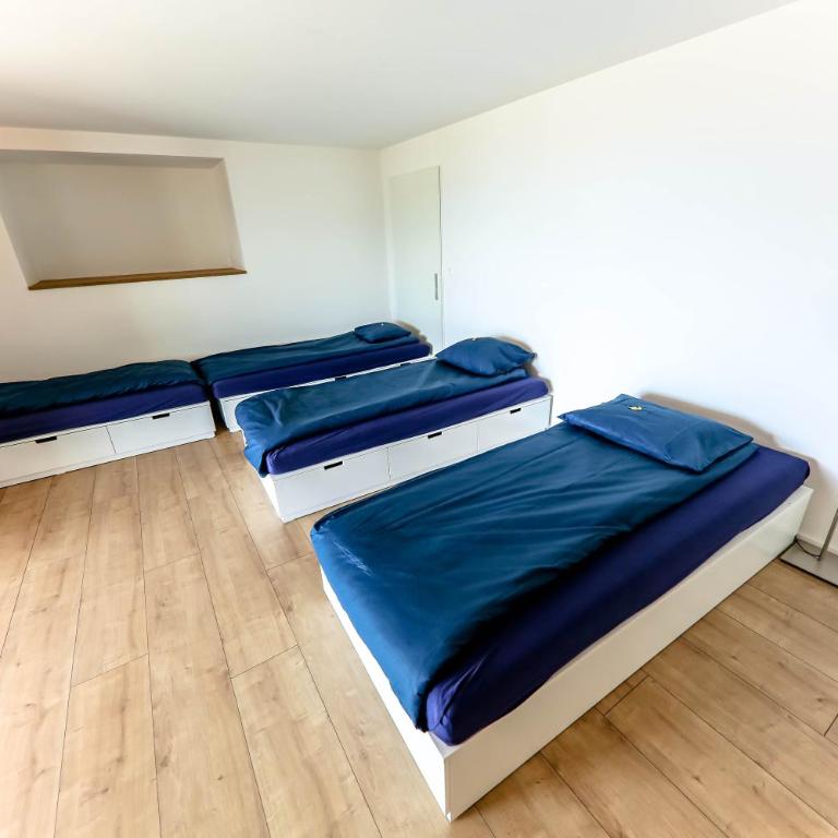 Young Backpackers Homestay - Bett im Frauenschlafsaal mit 4 Betten - 4