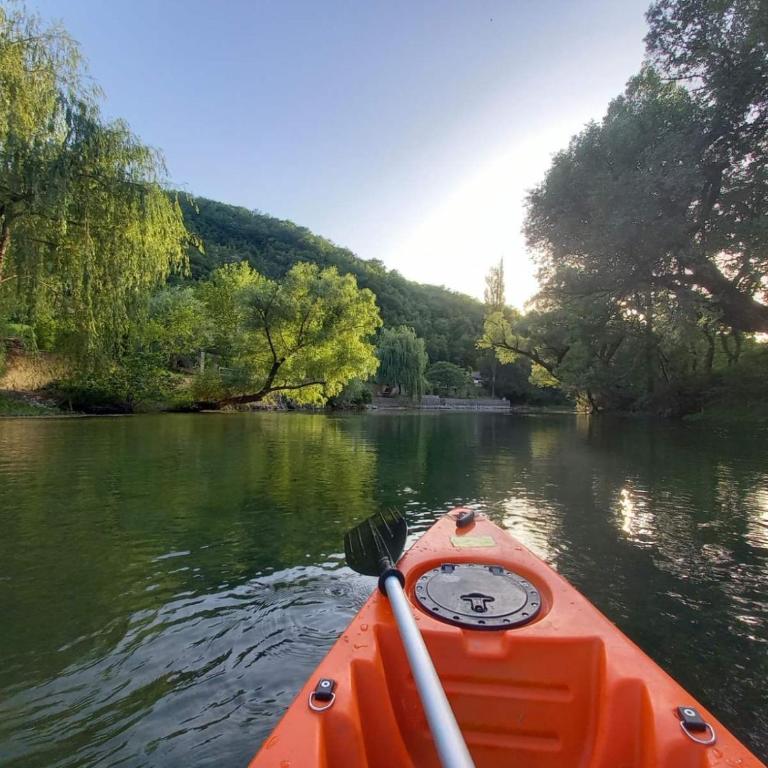 Bunica Spring Villa - Villa - 14