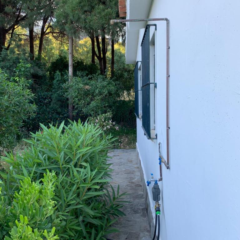 Finca Dos Vientos Tarifa - Casa de 2 dormitorios - 10