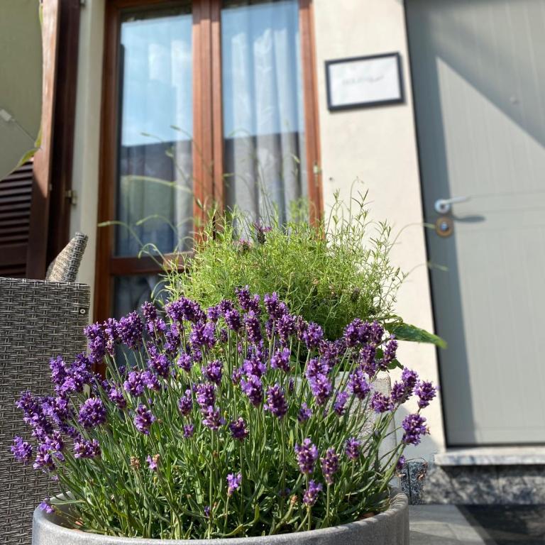 appartamenti Holiday cento4 - Appartamento con 3 Camere da Letto - 25