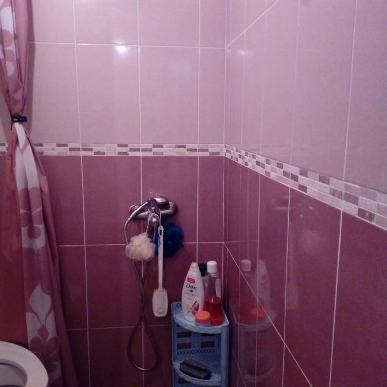 Veličanka - Porodični Apartman Tipa "Suite" sa Balkonom - 7