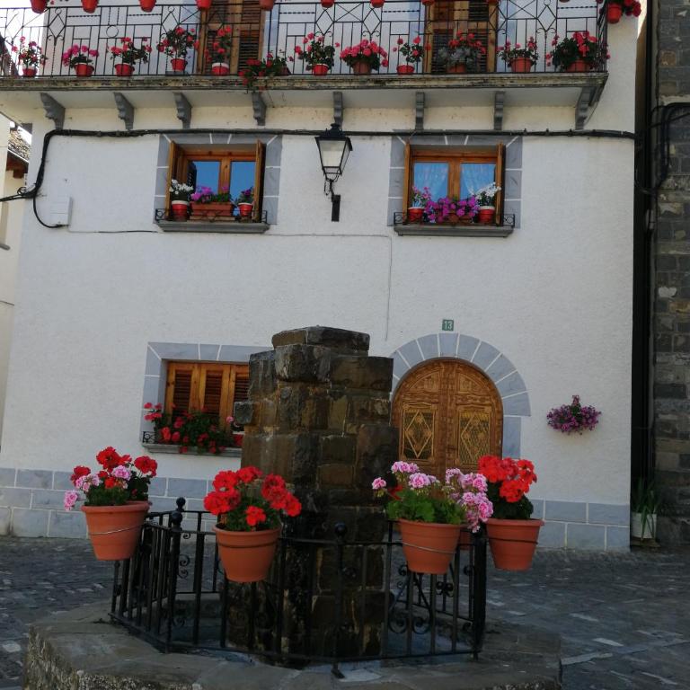 Apartamento Rural Paloma - Appartement 1 Chambre - 18