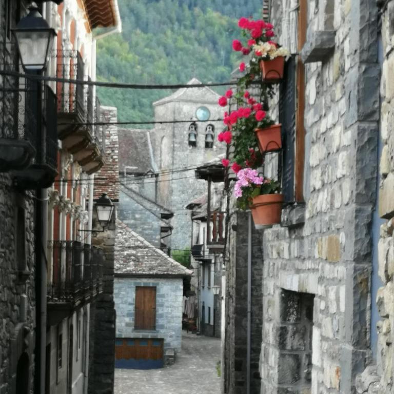 Apartamento Rural Paloma - Appartement 1 Chambre - 24