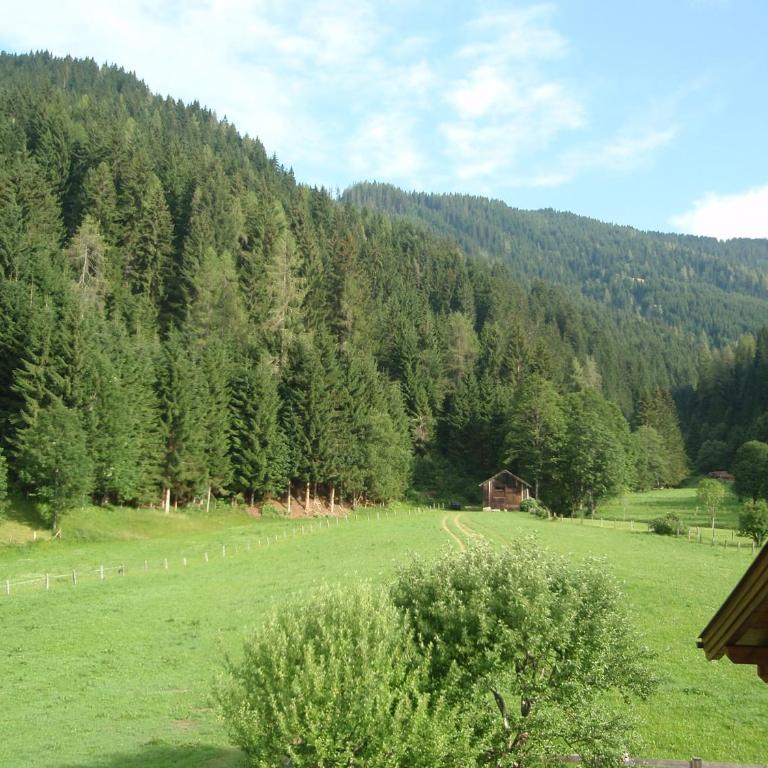 Landhaus Maurer - Apartment mit Blick auf die Berge - 1
