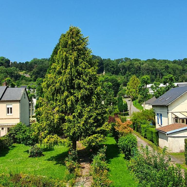 Villa Edelweiss - Appartement 1 Chambre - 7