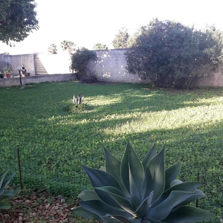 Villa singola a 1300 mt dal mare - Villa con 3 Camere da Letto - 5