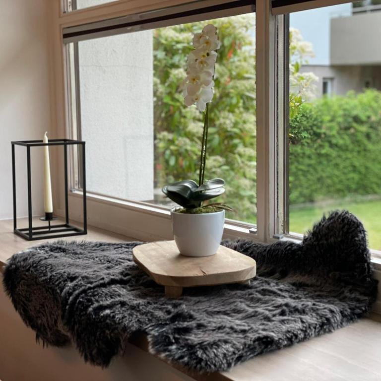 Pension Tulpe - Apartment mit 2 Schlafzimmern und Badezimmer - 6