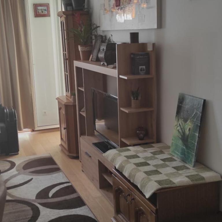 Apartman LB - Apartman sa 1 Spavaćom Sobom - 5