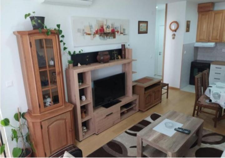 Apartman LB - Apartman sa 1 Spavaćom Sobom - 12