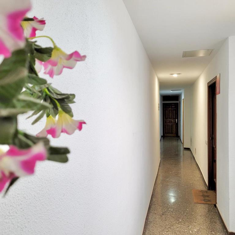 Apartamento Plaza del Charco - Apartamento Estudio - 27