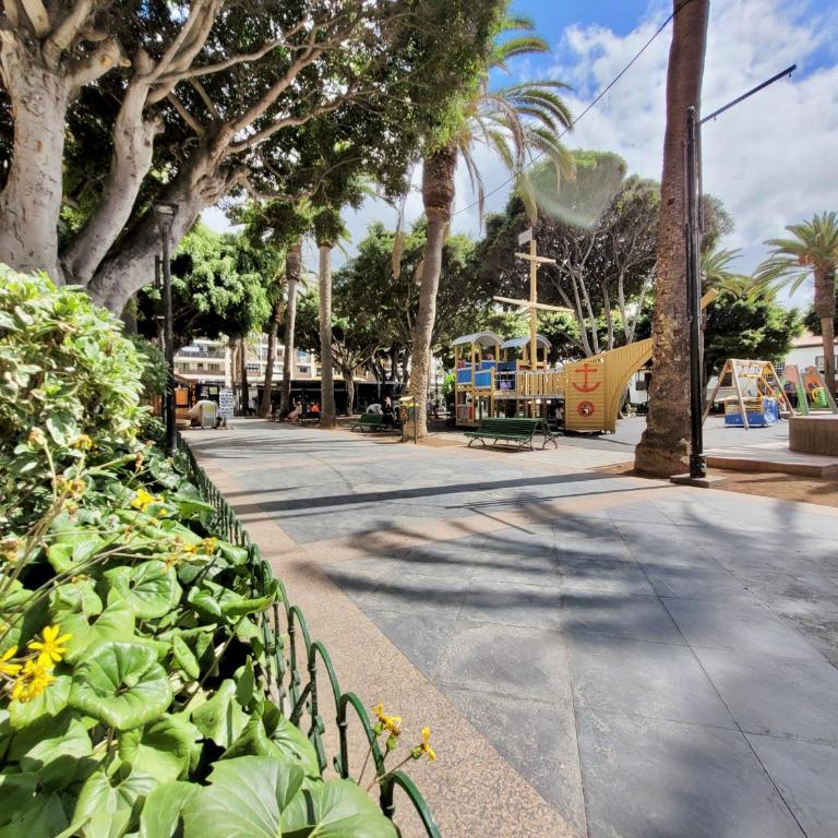 Apartamento Plaza del Charco - Apartamento Estudio - 5