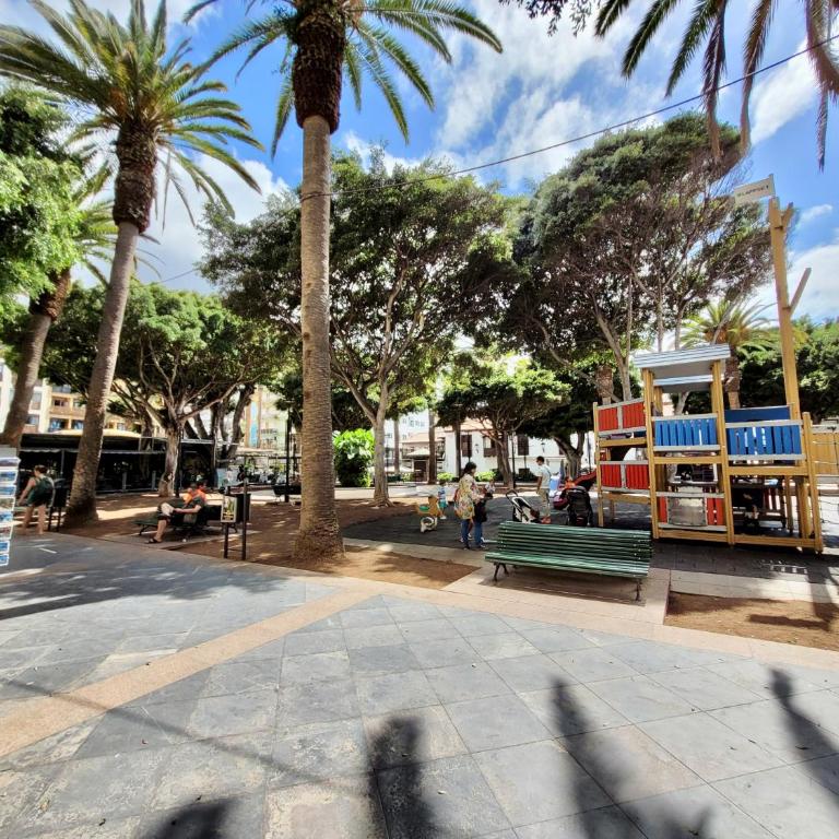 Apartamento Plaza del Charco - Apartamento Estudio - 34