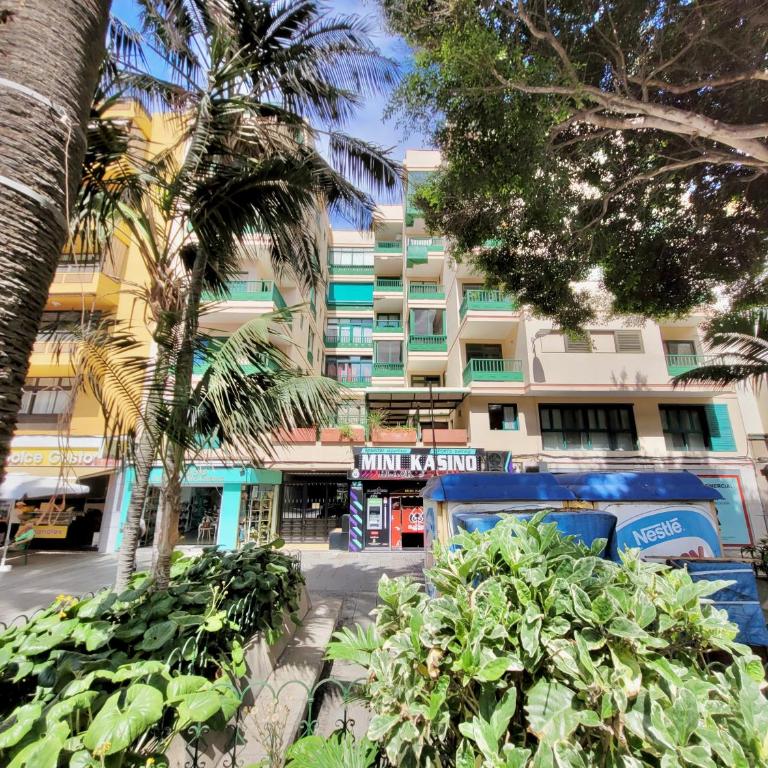 Apartamento Plaza del Charco - Apartamento Estudio - 37