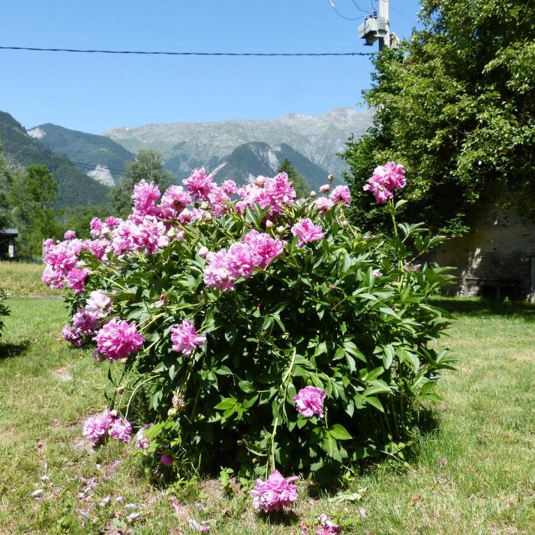 Le Manoir, appartement Beryl - Apartamento de 3 dormitorios - 30