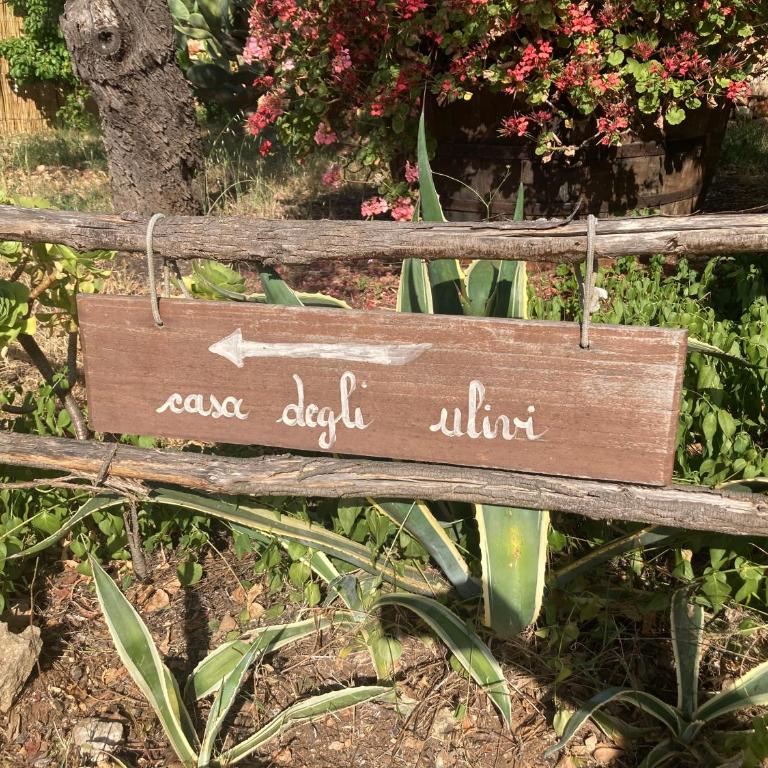 Casa degli Ulivi 21 - Appartamento - 12