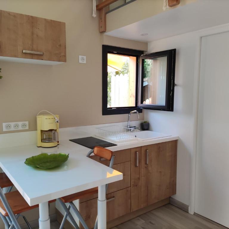 Lodge cocon la tête dans les pins les pieds dans l eau, climatisé - Apartamento de 1 dormitorio - 12