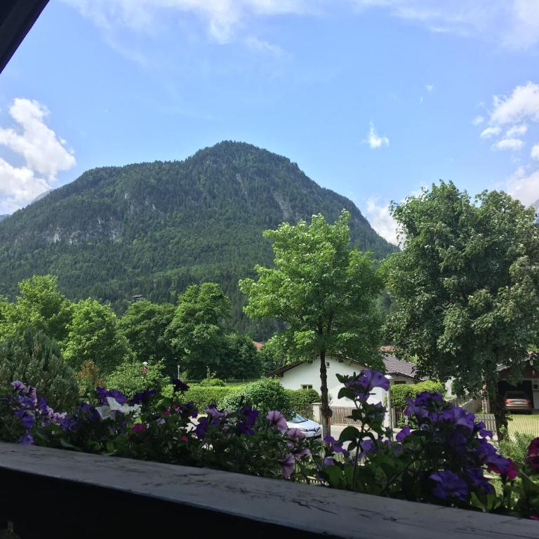 Ferienwohnungen Veronika Wohnung 2 - Apartamento de 1 dormitorio - 13