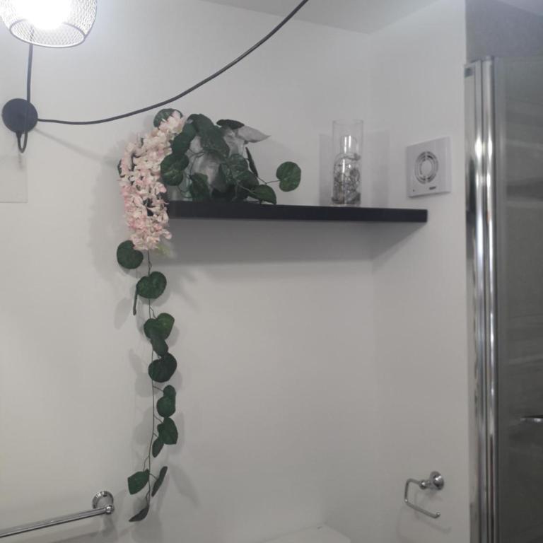 Apartamento REX - Apartamento de 2 dormitorios - 15