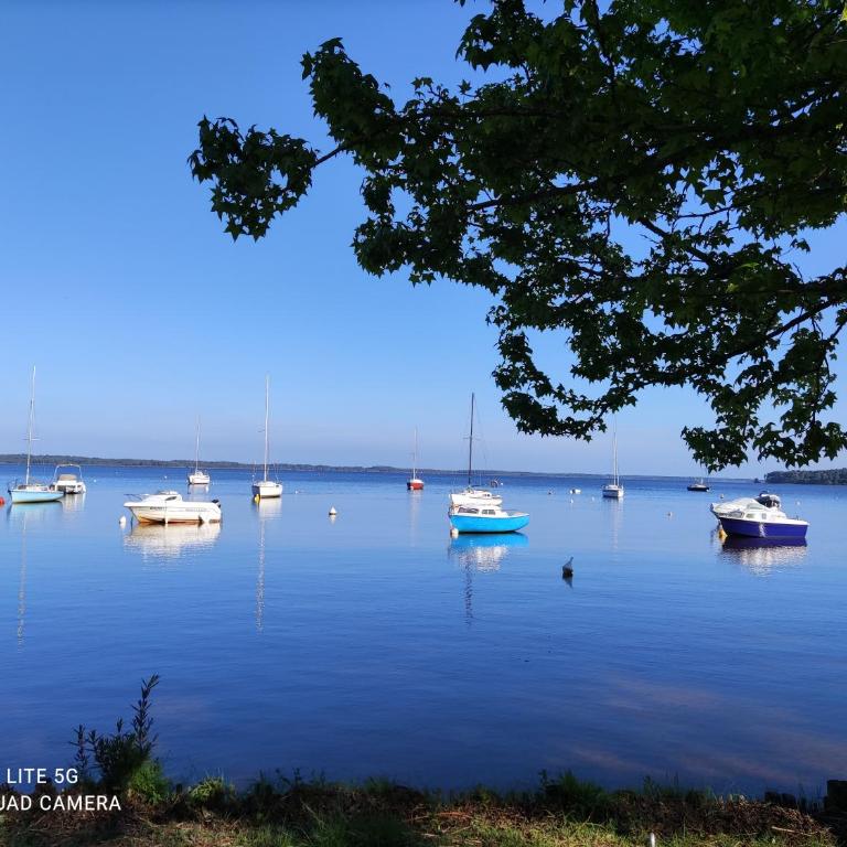 Lodge cocon la tête dans les pins les pieds dans l eau, climatisé - Apartamento de 1 dormitorio - 17