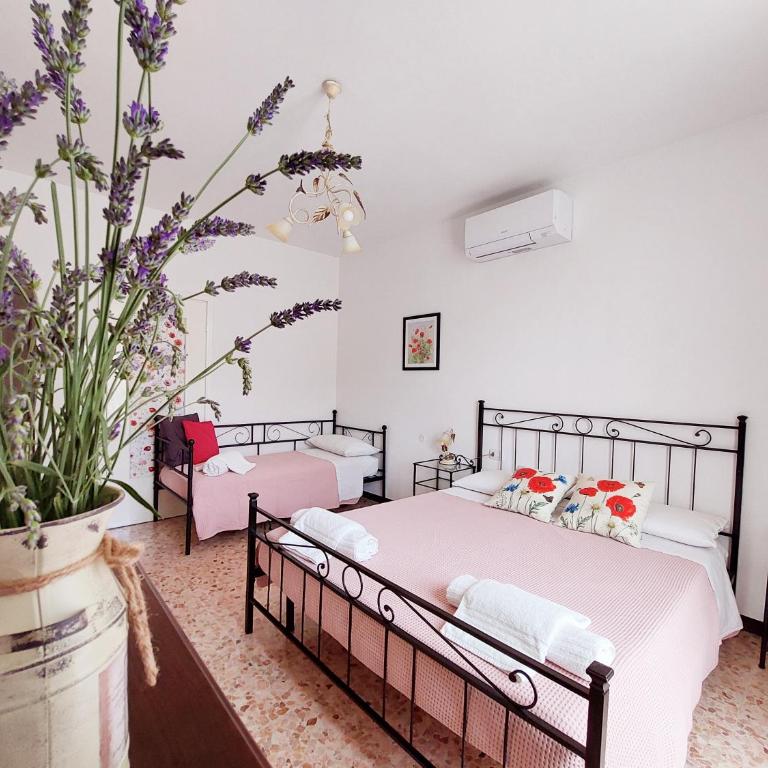 Agriturismo Conca Sandra - Farm Stay on Lake Como - Appartamento - 20