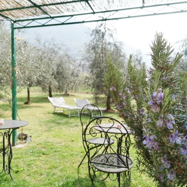Agriturismo Conca Sandra - Farm Stay on Lake Como - Appartamento - 8