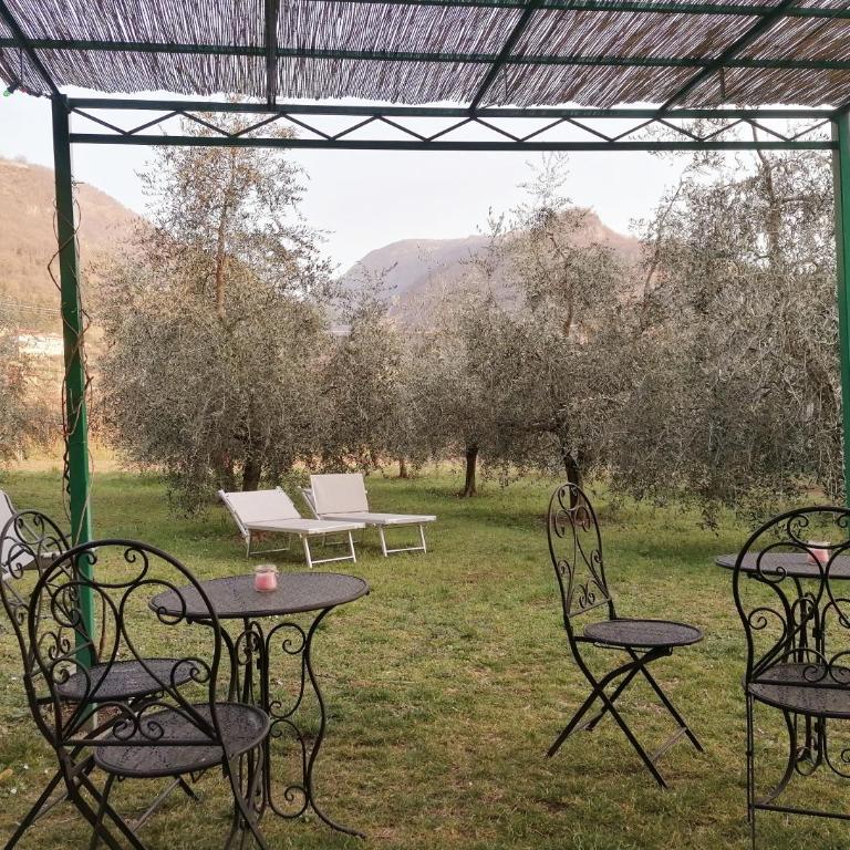 Agriturismo Conca Sandra - Farm Stay on Lake Como - Appartamento - 2