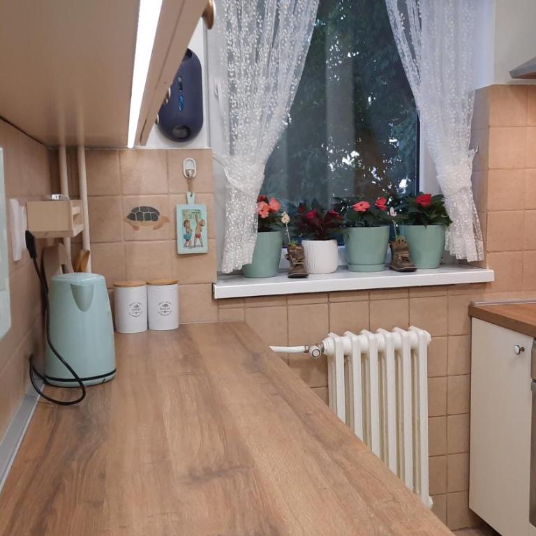 Lala Boho apartment 2nd floor - Two-Bedroom Apartment - 13