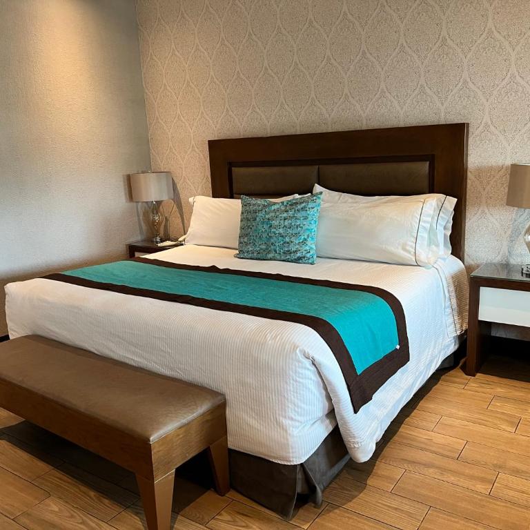 Áurea Hotel and Suites - Suite Clásica - 6