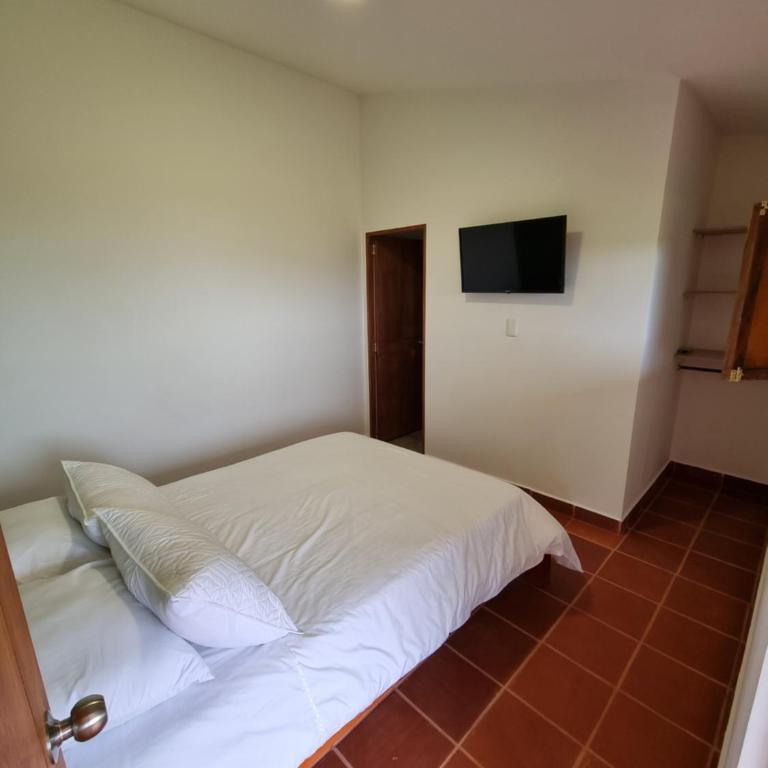 MOCANA BIOHOTEL - Habitación Deluxe - 2