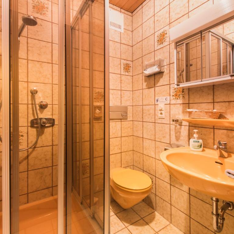 Alpenhotel Sonneck - mit Bergbahnticket - Basic Einzelzimmer - 1